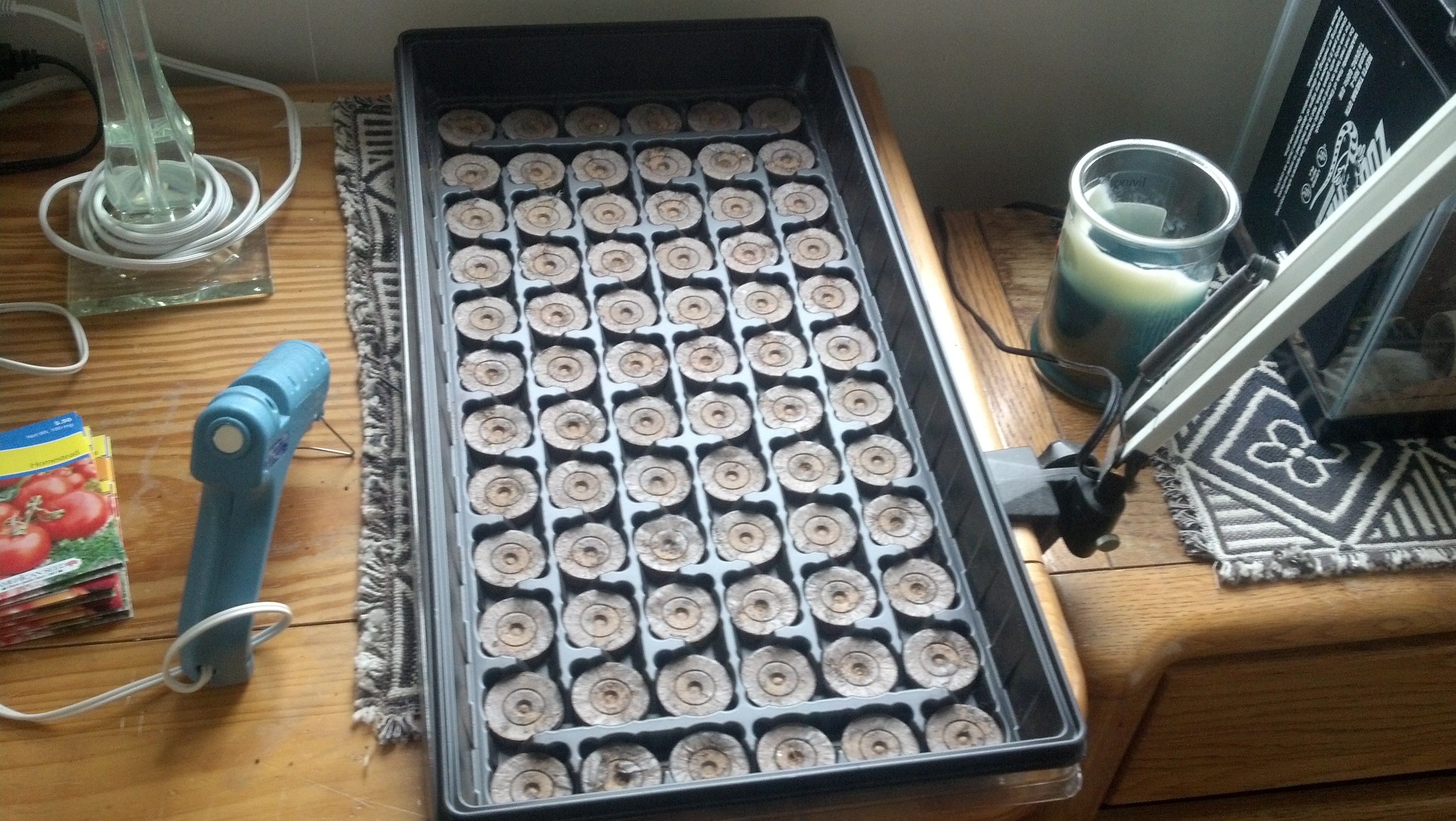 Here is the "grid" of dirt I am using. I got it from walmart or something like that and essentially it is a grid of dehydrated dirt pucks that are good for planting seeds.